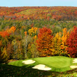 Treetops